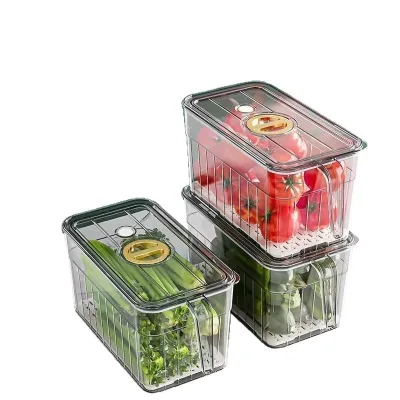 Plastic Modern Refrigerator Food Storage Box with Handles for Vegetables Fruits Eggs Freezer Safe Drain Plate Organization