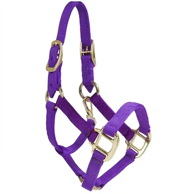 Hot Sales Horses Ricing Adjustable Training Equipment Nylon Horse Halter for Riding