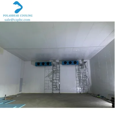 Easy Installed Cold Storage Cooling Freezing Room for Meat Seafood with Thermal Insulation PU PIR Panel