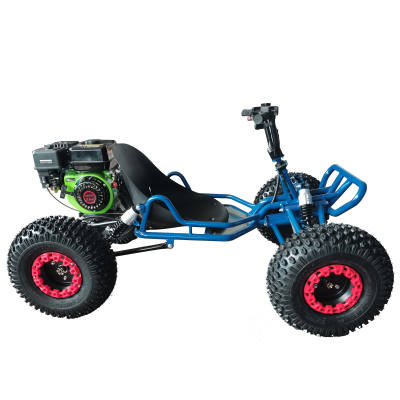 HAYA Gas Powered Go Kart for Adult 208cc 4 Stroke Go Karting Car for Karting Track
