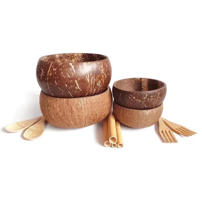 Coconut Shell Bowls Eco Kitchen Coconut Handmade Dessert Bowls Set Coconut Bowl