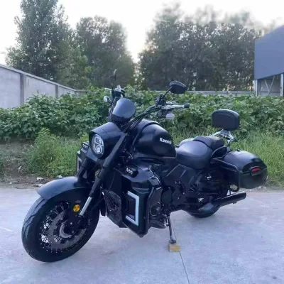 Kawasaki-Style Moxiao 650LS Brushless 600-1000CC >80km/h