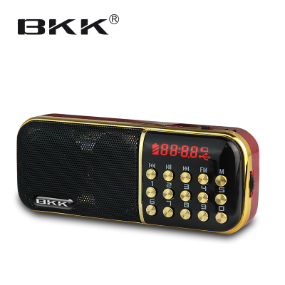 FM Radio With Subwoofer,portable Radio(B851)