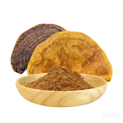 Amulyn Factory Supply Phellinus Igniarius Mushroom Extract 10:1 Ratio Sanghuang Extract Straight Powder