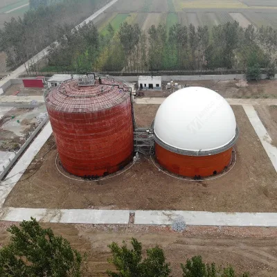Gas Ballon Biogas Bag for Biogas Waste Treatment Project