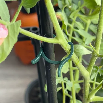 Gardening Reusable Plant Flower Climbing Vine Clips Tomato Strawberry Stem Clamps Plant Trellis Clip