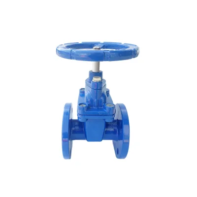 Maintenance Free Gate Valve CI/DI 4-inch PN16 DN100 Manual Gate Valve and Water Control Valve Is Used for Community Water Supply