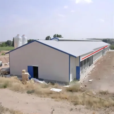 Customized Modern Industrial Design Steel Structure Multi-Layer Outdoor Chicken Coops Chicken House for Hens