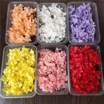 Wholesale Preserved Hydrangea Flowers Aromatherapy Candle DIY Materials Dried Preserved Flowers for Nail Decoration