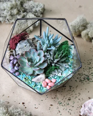 Personalized DIY Succulent Terrarium Kit for Creating Your Own Oasis Home Decor for Living Room Floor Great for Housewarming