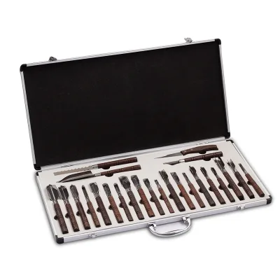 25-Piece Set of High Quality Professional Metal Graver Knife Diversified Foods Carving Tools for Fruit & Vegetable