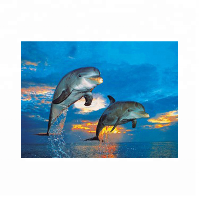 High Resolution 3d Photo of Dolphin Home Decoration 3d Seascape Picture