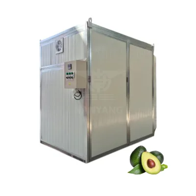Automatic Food Production Line Equipment Fruit Vegetable Drying Machine Avocado Mango Papaya Tunnel Dehydrator