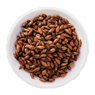 Wholesale Bulk 100% Natural Organic Roasted Barley Raw Dried for Brown Tea Slimming Specialty Tea with Herbs