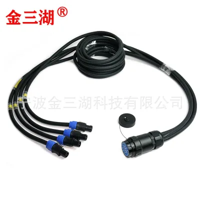 19-pin Female to Male Connector to Speakon Adapter Professional Speaker Cable Stage Connection Cable 4x25mm Audio Cable China