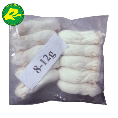 Natural & Nutrient - Rich Frozen Mice for Reptile Pets