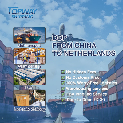Special Transportation Sea Shipping to Mexico Fba Fcl Delivery by Multi Transport