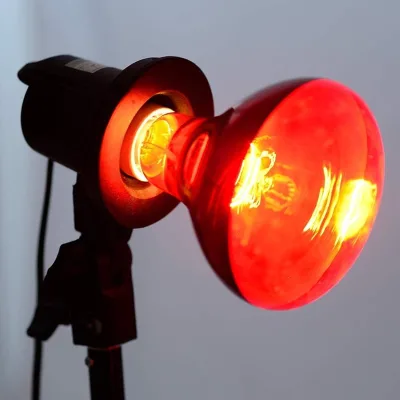 Infrared Therapy Lamp E27 Base Glass 230V 100W Dimmable Replacement Light Bulb