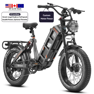 Eahora Hot Sale Electric Mountain Bicycle 25oW Brushless Motor 52V Removable Battery Off-Road E-Bike For Outdoor Adventures