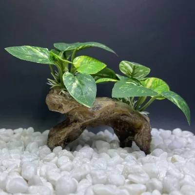 Fish Tank Decorations Aquarium Decor Ornaments Betta Silk Leaf Pad Hammock Artifical Driftwood Cave Goldfish Bowl Accessories