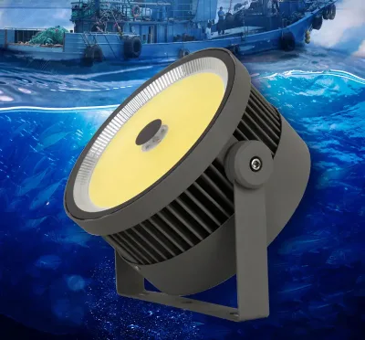 Professional IP65 Outdoor Waterproof LED Deep Fishing Light 1000W Fishing Boat Light for Attracting Fish
