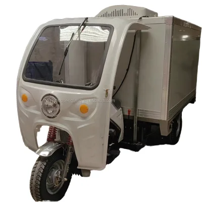 Refrigerated Tricycle, Three-wheeled Petrol Gasoline Tricycle with Refrigerated Box Refrigerated Truck for Fresh Food Delivery