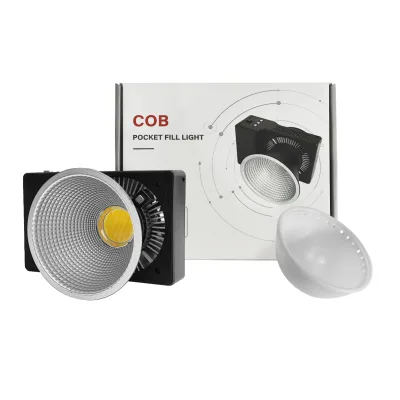Studio 100W Mini Metal High Quality LED Light Adjustable Color Temperature DC/Battery Powered Bi Color Photographic Lighting for