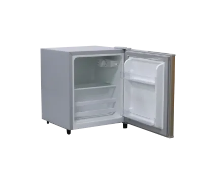 Hot Selling 31L Portable Electric Freezer RV Refrigerator for Hotels Compressor Gas New French US UK Used for Hotel Cooling