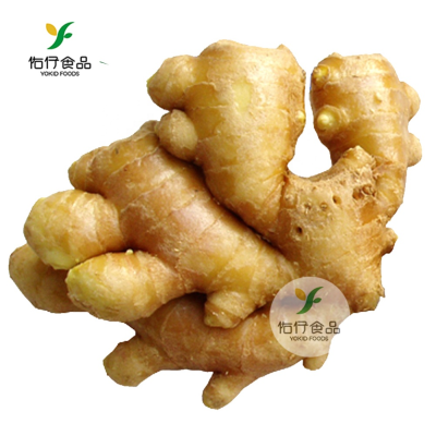 Air Dried Ginger