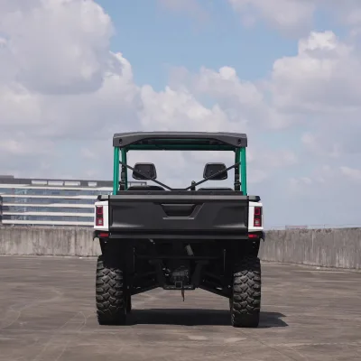 2 Seat Off Road Electric Utv Utility Vehicle