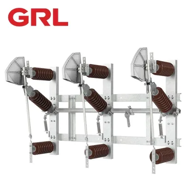 DNGW1-36 High Voltage 24kv 36kv Load-Disconnector Switch GRL Customized Load-Isolation Fuses 1594mm