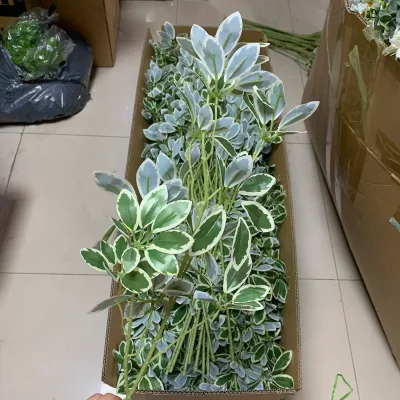 LE-416 85cm Long Stem Artificial Variegated Schefflera Faux Umbrella Plant Leaves for Hotel Shop Interior Vase Greenery Decor