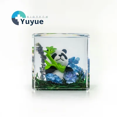 Clear Cube Resin Micro Landscape Ornament Insect Plant Specimen Preserved Flower Mini Scene Desk Decor Craft Gift