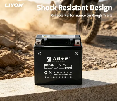 LIYON New 6MF5L 5AH 12V Fully Sealed Motorcycle Battery Zero Electrolyte Volatilization All Weather Storage Off-Road Free 1 Year