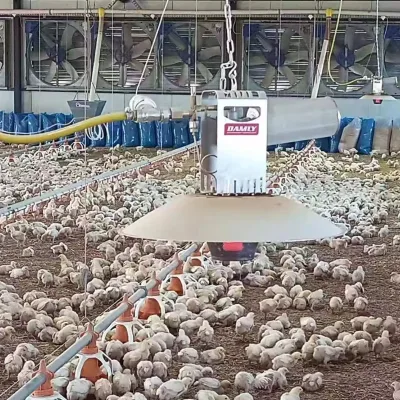 High Quality GREAT FARM Sunflower Chicken House Equipment Gas Brooder Heater With Temperature Control Valve
