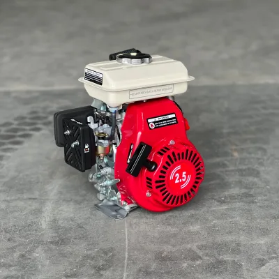 OEM  Gasoline Engine 4 Stroke Single Cylinder  Petrol Engine Small for Generators Water Pumps Agricultural Sprayers
