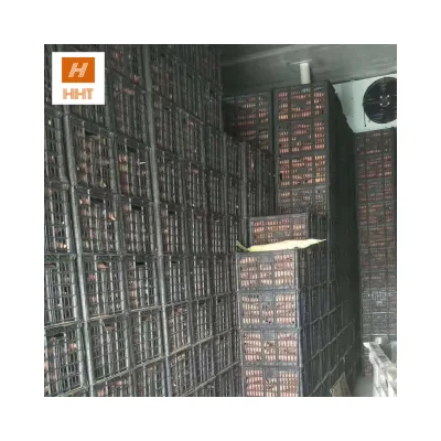 Chambres Froides Mini Cold Storage Room Quick Freezer Cold Room for Philippines