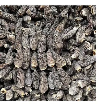 Seasonal New Crop Cutting Stems Handle 3-5cm Black Morel Mushrooms Yunnan Morchella Mushroom Dried Morel Morchella Mushroom