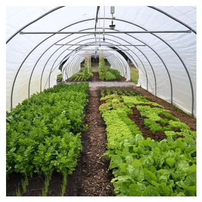 Greenhouse Heating or Cooling Shed Net Greenhouse Agricultural Roll Single Span Film Greenhouse