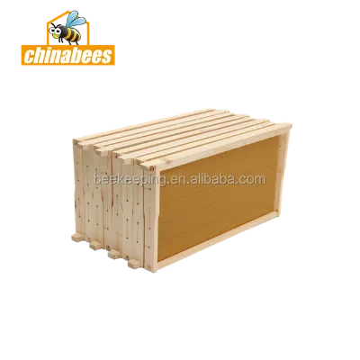 China Fir Wood Deep Body Box With Frames for Langstroth Beehive