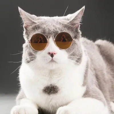 Wholesale Fashion Recycled Animal Mini Pet Dog Sunglasses