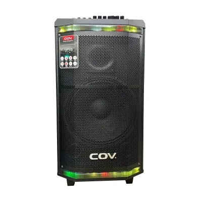 10/12 Inch Professional Speaker with LED Light, Microphone for Karaoke, Party