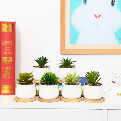 Creative Nordic Ceramic Succulent Pot Simple White Porcelain Bottom Tray with Combination Potted Mini Office Pot