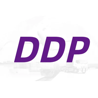 Logistics Transportation Shopping LCL Sea Freight DDP DDU to BE Belgium Freight Forwarder China Logistics Services