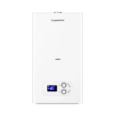 WIFI Smart Combi Gas Boiler 20KW-40KW Wall Mounted Constant Temp Heat Exchanger Full House Heating System Manufacturer OEM