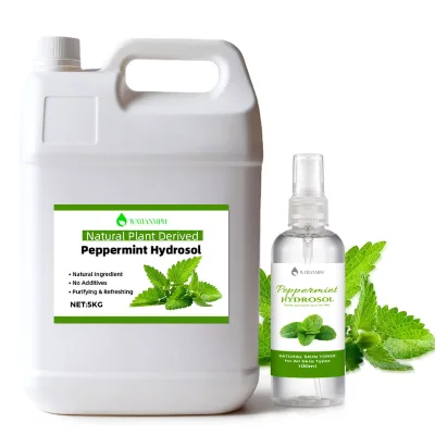 Hot Selling Organic Peppermint Hydrosol Moisturizing Skincare Facial Care Natural Plant Extract Peppermint Hydrosol