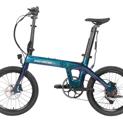 Denfg 2025 Folding Bike E97 36V 10AH Battery 250W Motor(Optional Economic Version, Premium Version)