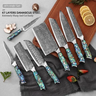 Custom Professional Chef Kitchen 67-Layers Damascus Steel VG10 Chef Knife Set With Abalone Shell Resin Handle