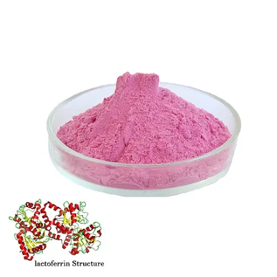 High Quality Lactoferrin Powder Bulk Protein Supplement 95% Food Grade Lactoferrin