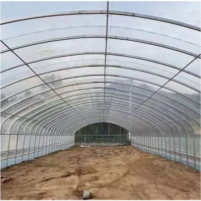 Galvanized Steel Frame Single Span Pe Film Greenhouse For Agriculture With Double PE Film Cover For Growing Crops